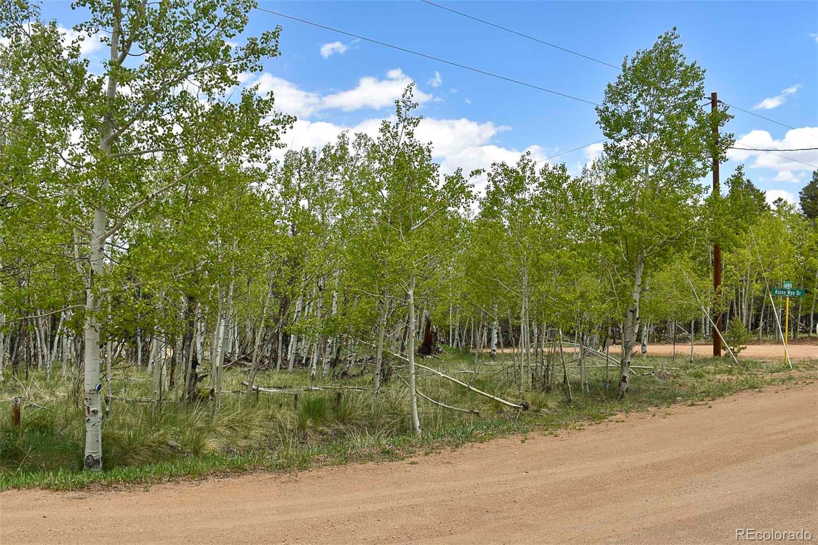 55 Aspen Way Drive Guffey CO 80820