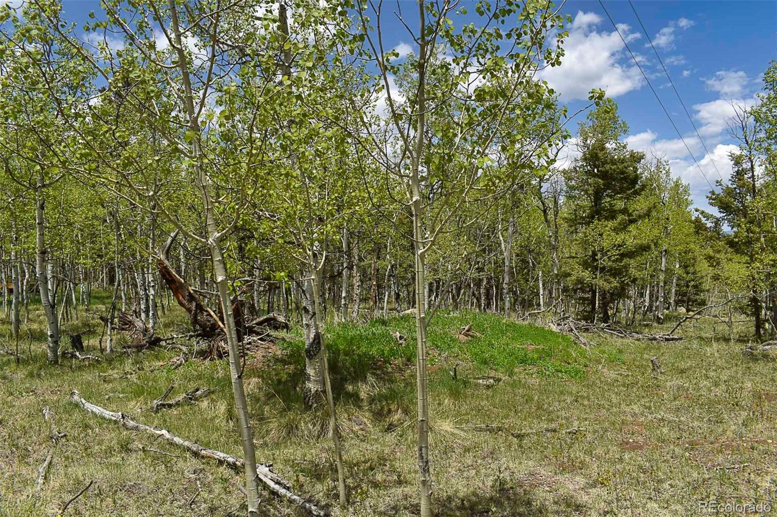 55 Aspen Way Drive Guffey CO 80820