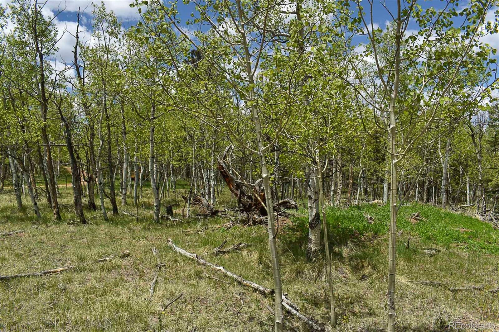 55 Aspen Way Drive Guffey CO 80820