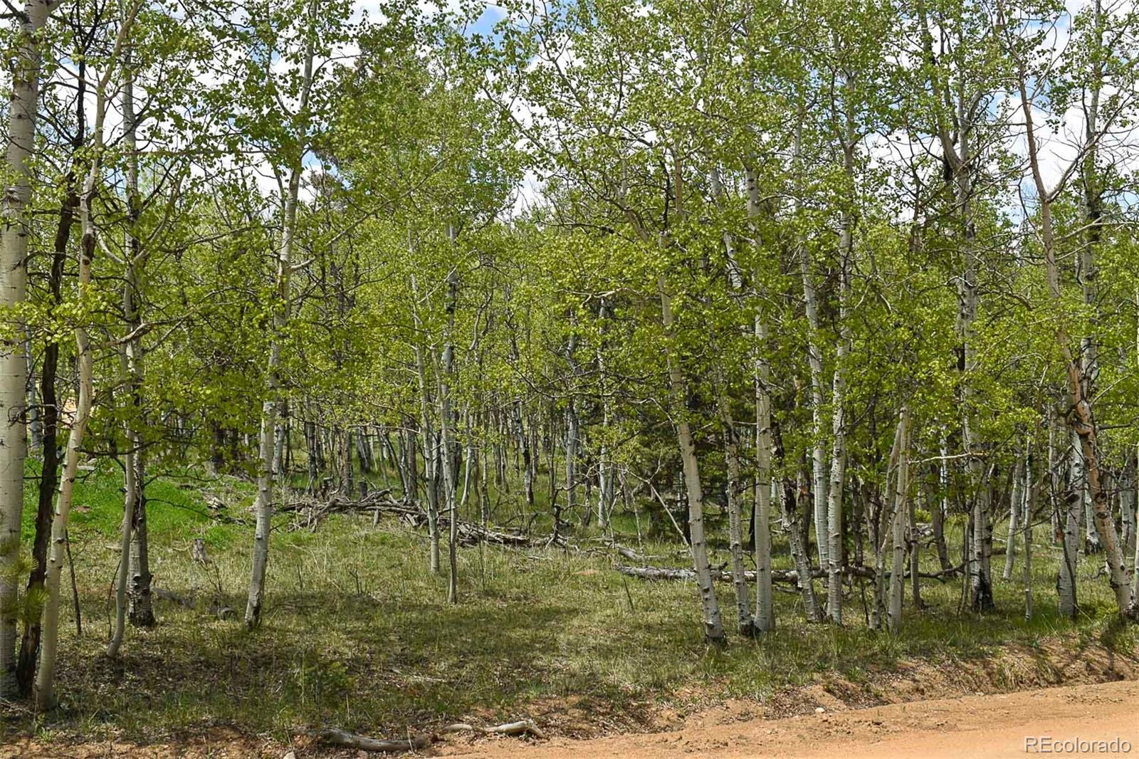 55 Aspen Way Drive Guffey CO 80820