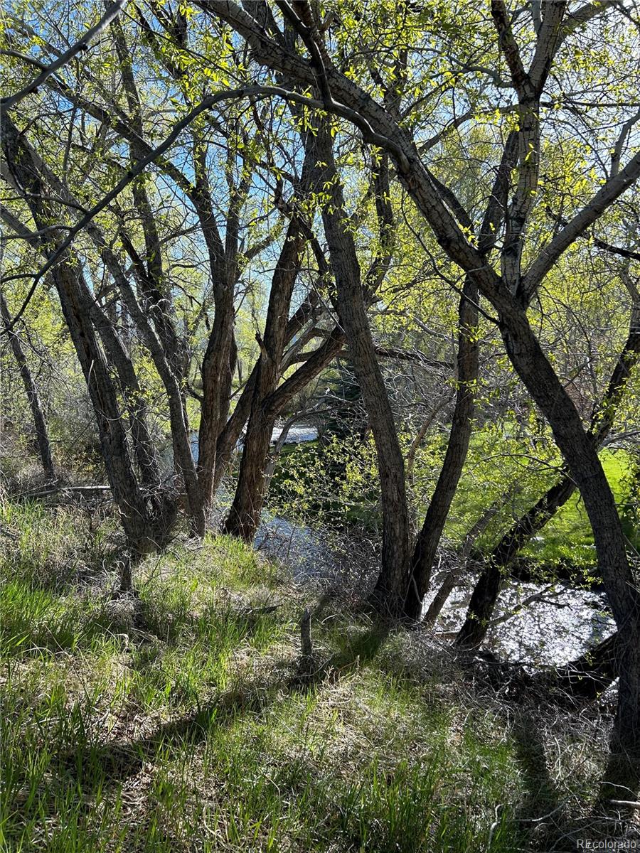 Cr 361 Buena Vista CO 81211