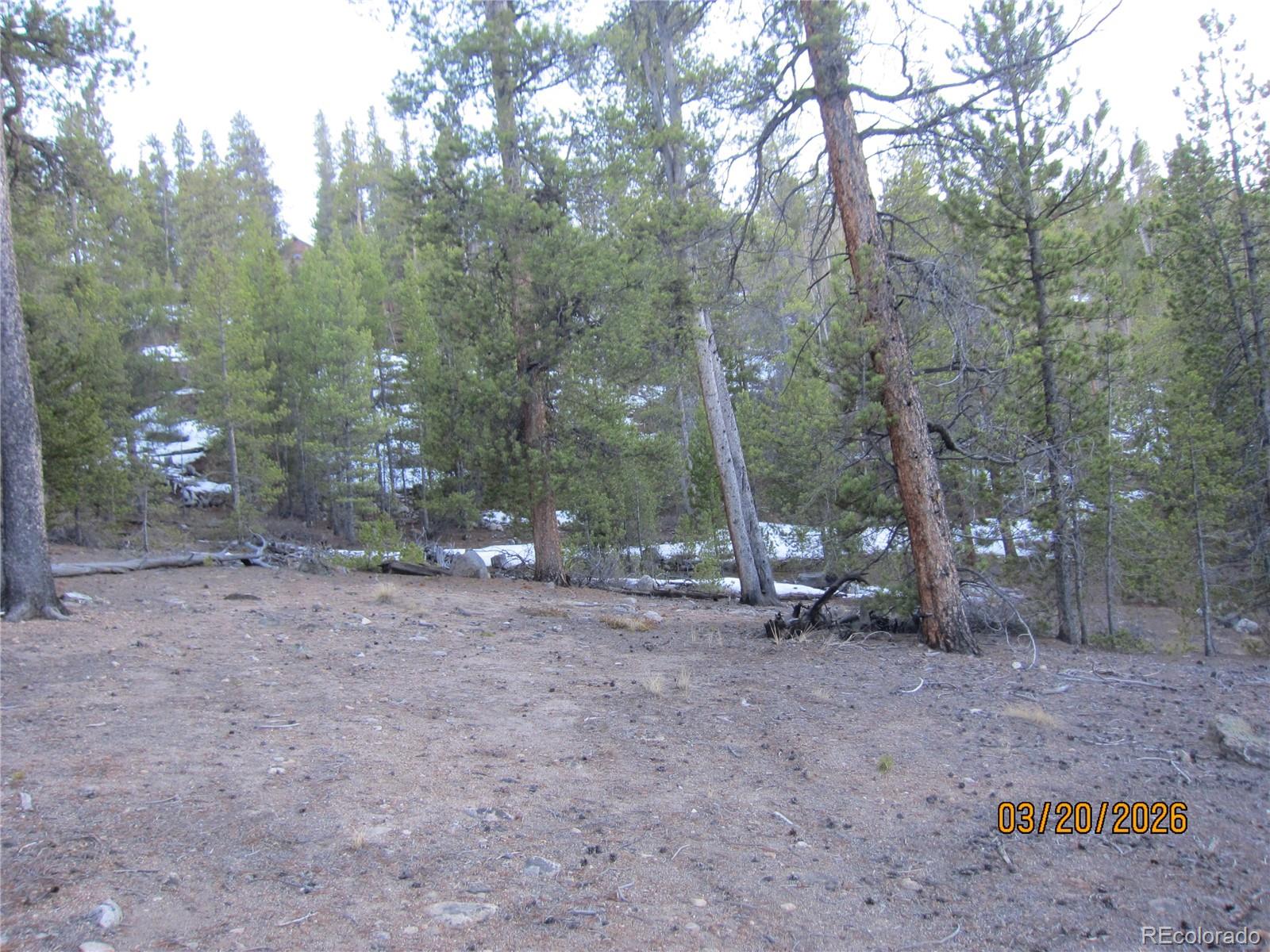 446 Mount Massive Drive Twin Lakes CO 81251