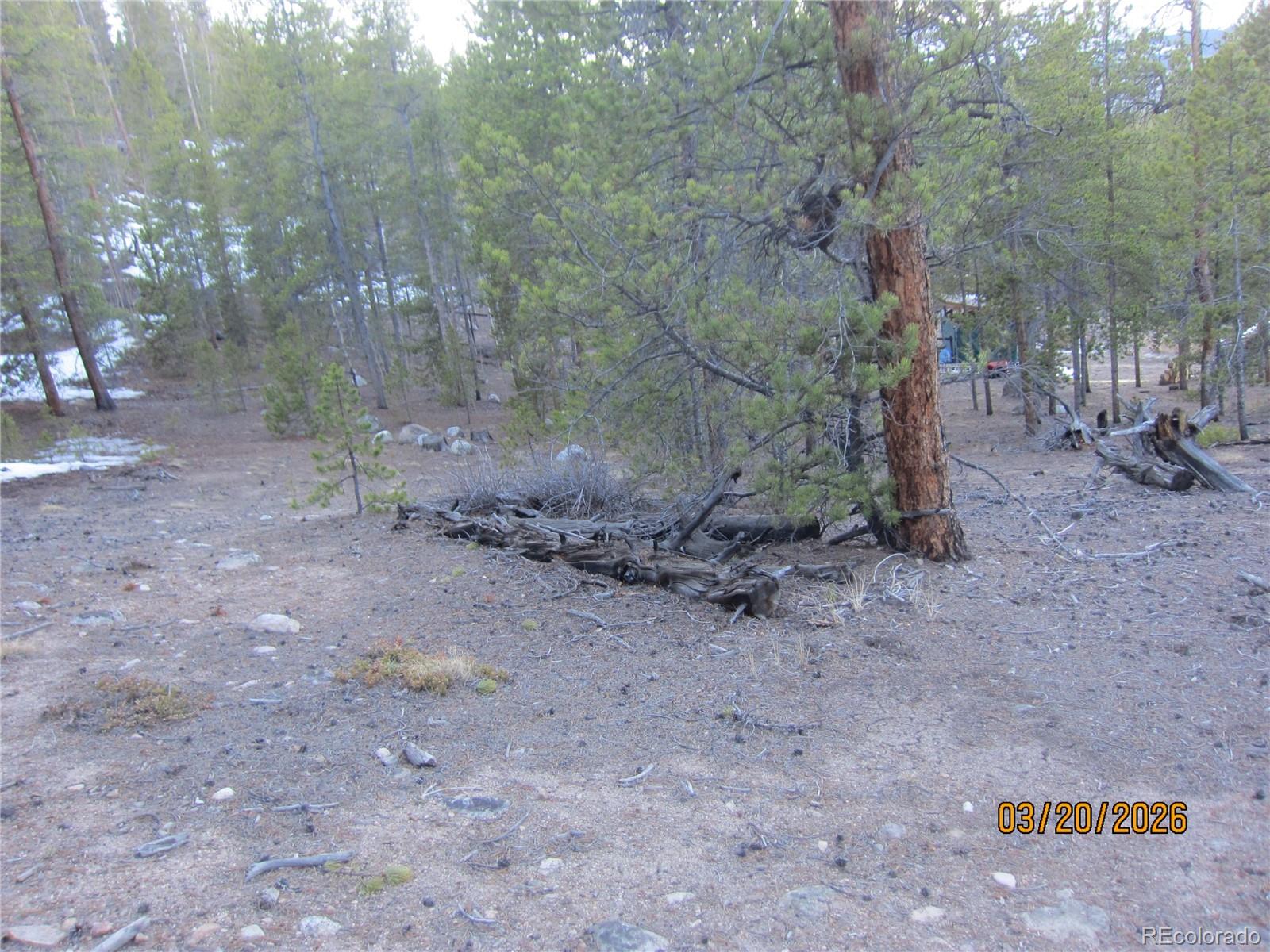 446 Mount Massive Drive Twin Lakes CO 81251