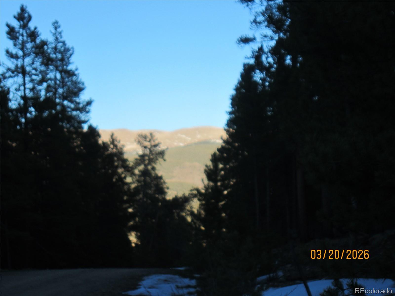 446 Mount Massive Drive Twin Lakes CO 81251