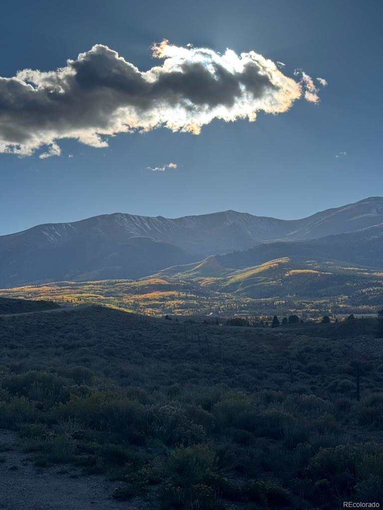 446 Mount Massive Drive Twin Lakes CO 81251