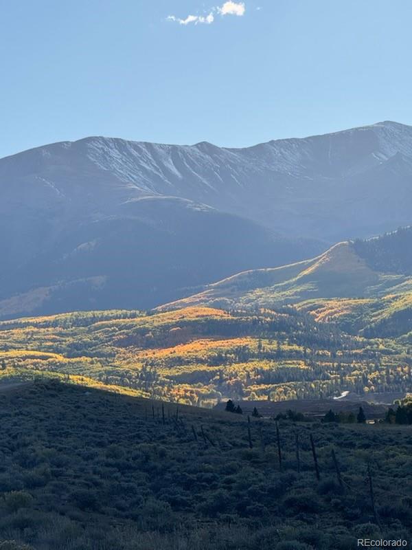 446 Mount Massive Drive Twin Lakes CO 81251