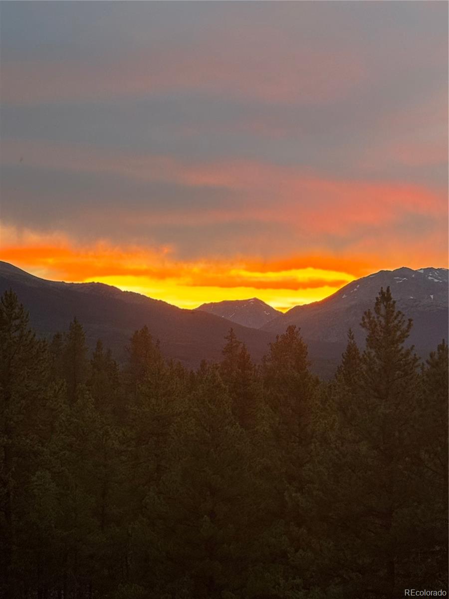 446 Mount Massive Drive Twin Lakes CO 81251
