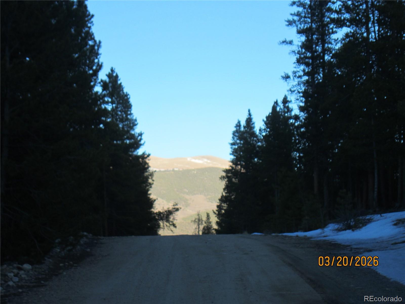 446 Mount Massive Drive Twin Lakes CO 81251