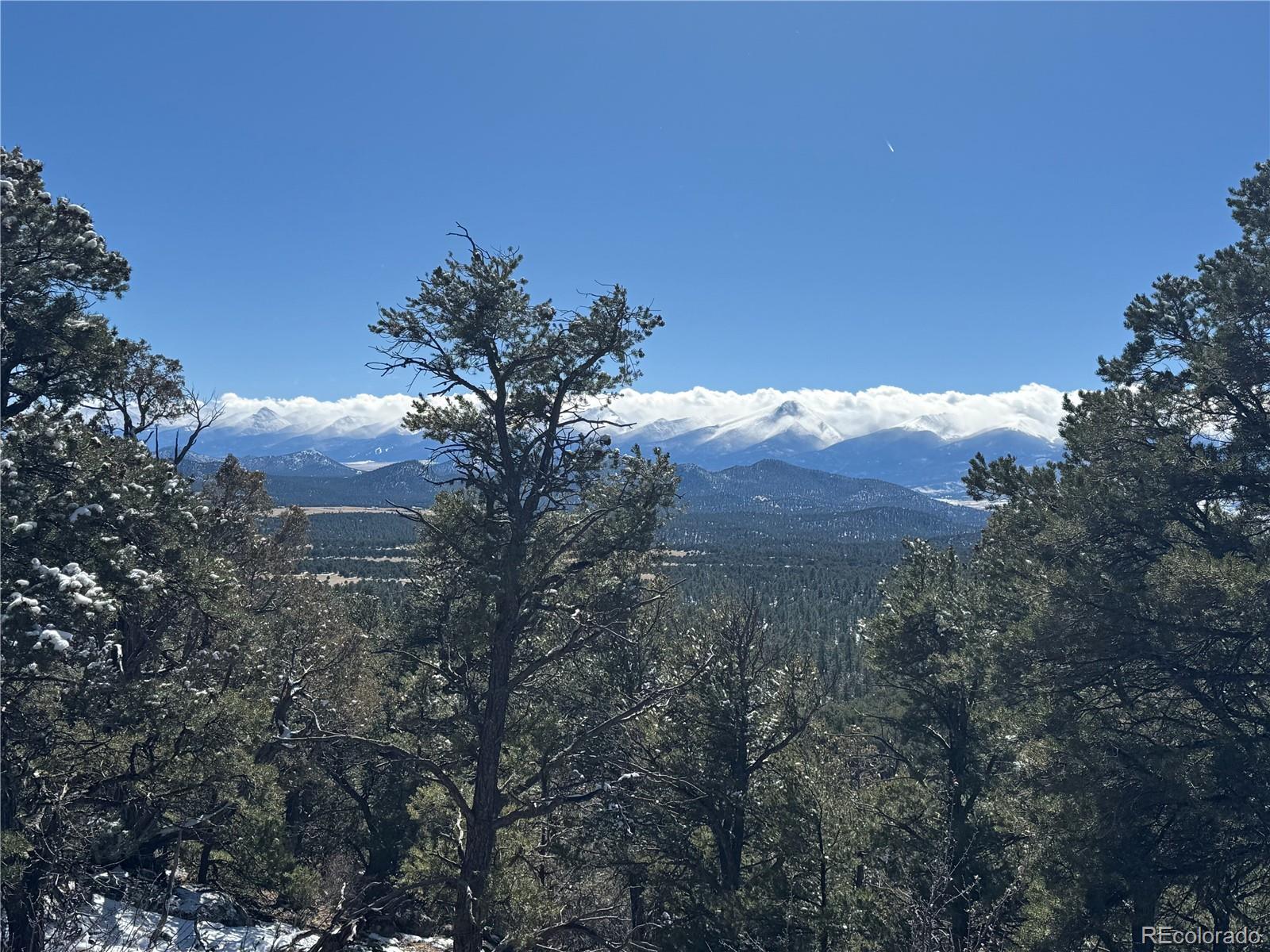 1214 Kevin Drive Cotopaxi CO 81223