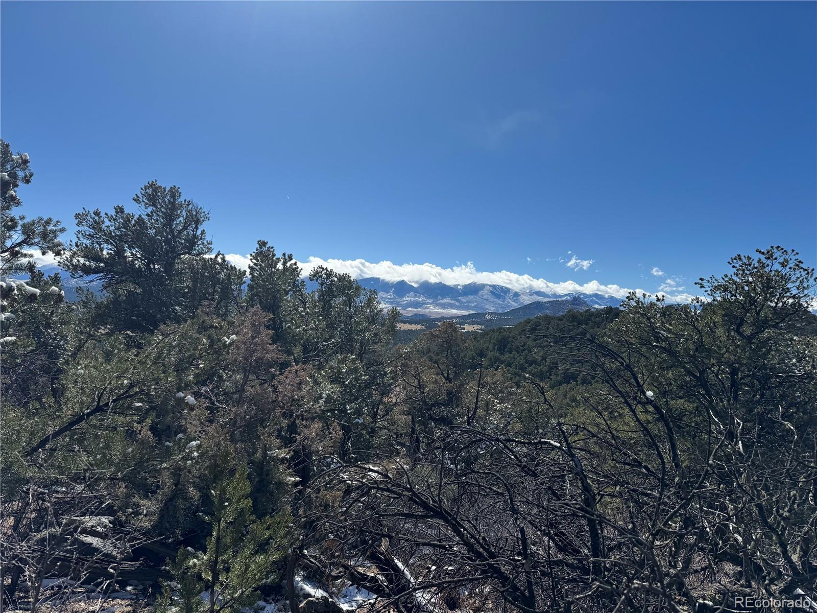 1214 Kevin Drive Cotopaxi CO 81223