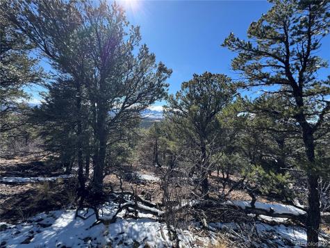 1214 Kevin Drive Cotopaxi CO 81223