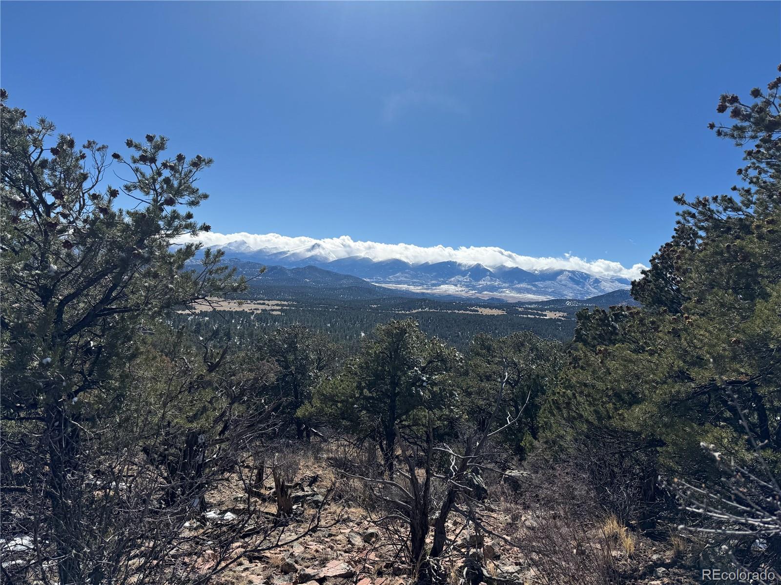 1214 Kevin Drive Cotopaxi CO 81223