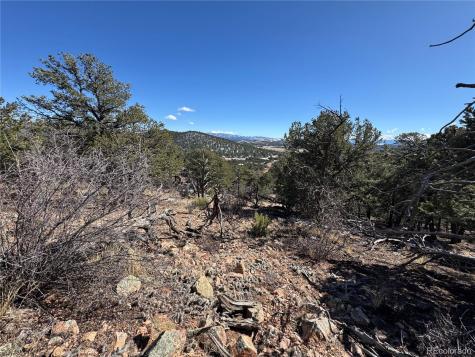 1214 Kevin Drive Cotopaxi CO 81223