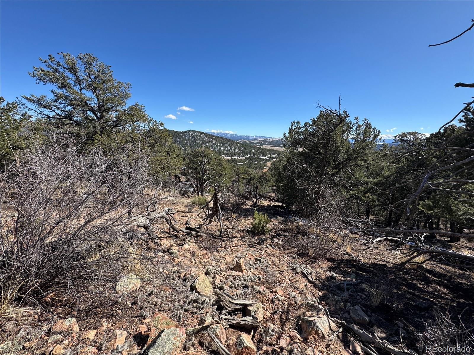 1214 Kevin Drive Cotopaxi CO 81223