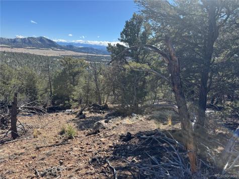 1214 Kevin Drive Cotopaxi CO 81223