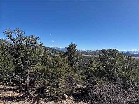 1214 Kevin Drive Cotopaxi CO 81223