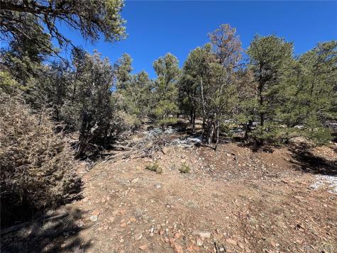 1214 Kevin Drive Cotopaxi CO 81223