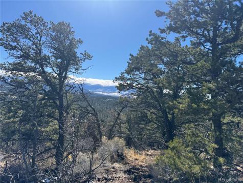 1214 Kevin Drive Cotopaxi CO 81223