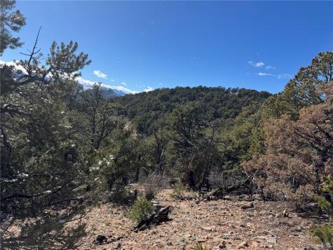 1214 Kevin Drive Cotopaxi CO 81223