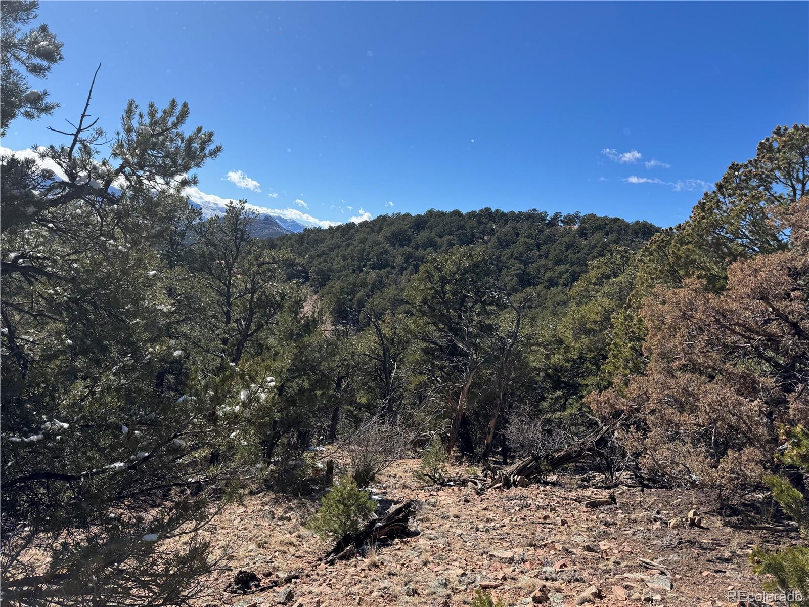1214 Kevin Drive Cotopaxi CO 81223