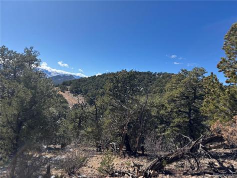 1214 Kevin Drive Cotopaxi CO 81223