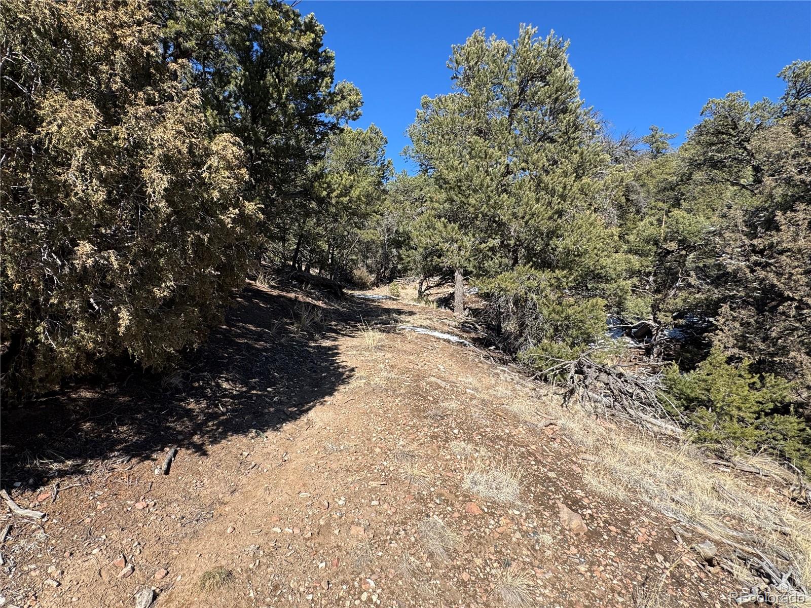 1214 Kevin Drive Cotopaxi CO 81223