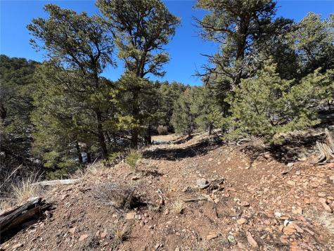 1214 Kevin Drive Cotopaxi CO 81223