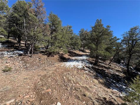 1214 Kevin Drive Cotopaxi CO 81223