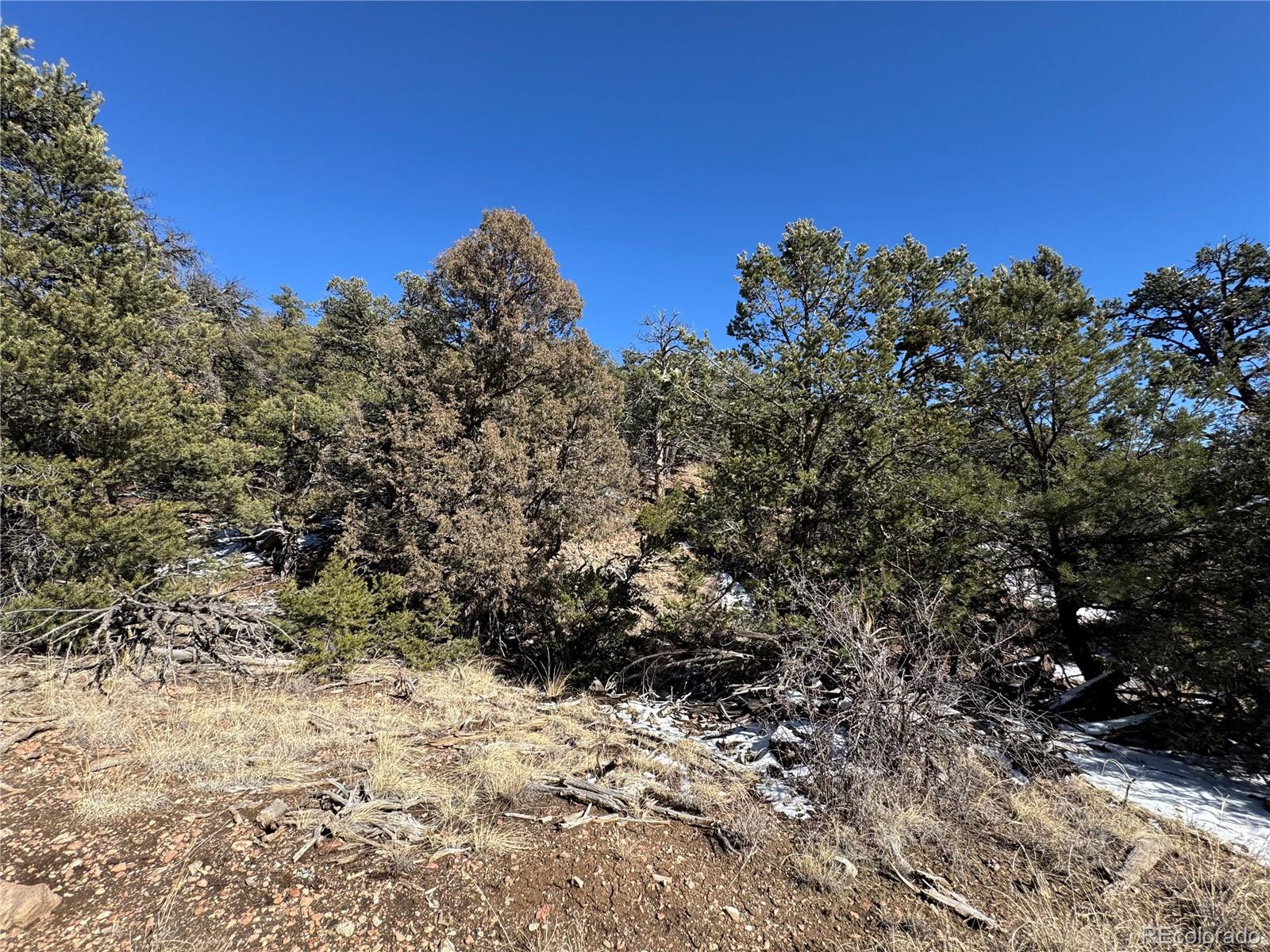 1214 Kevin Drive Cotopaxi CO 81223
