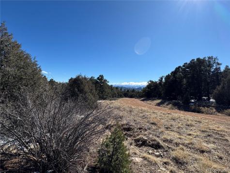 1214 Kevin Drive Cotopaxi CO 81223