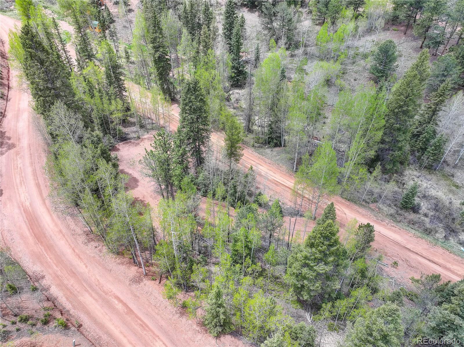 416 Willow Road Divide CO 80814