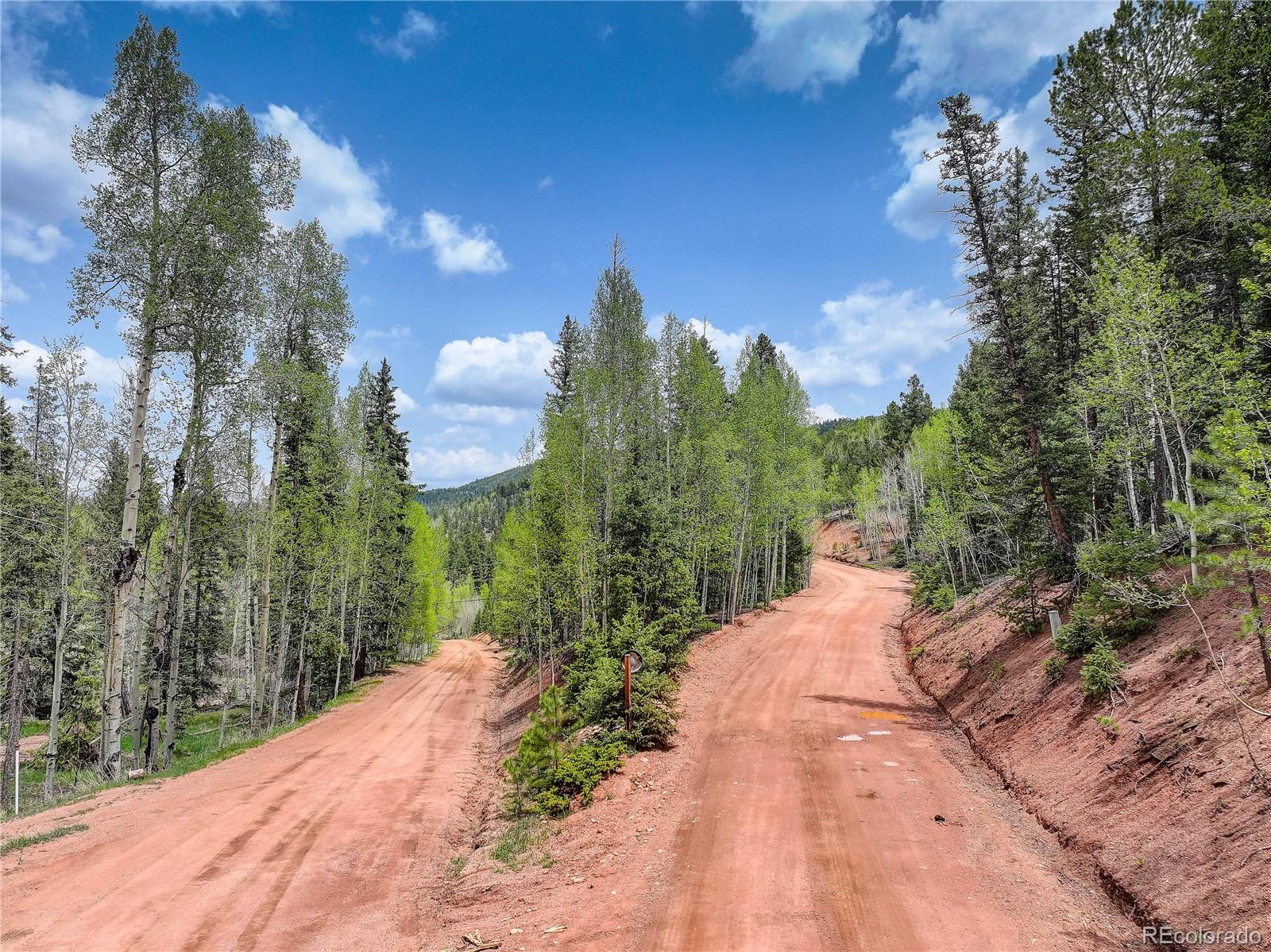 416 Willow Road Divide CO 80814