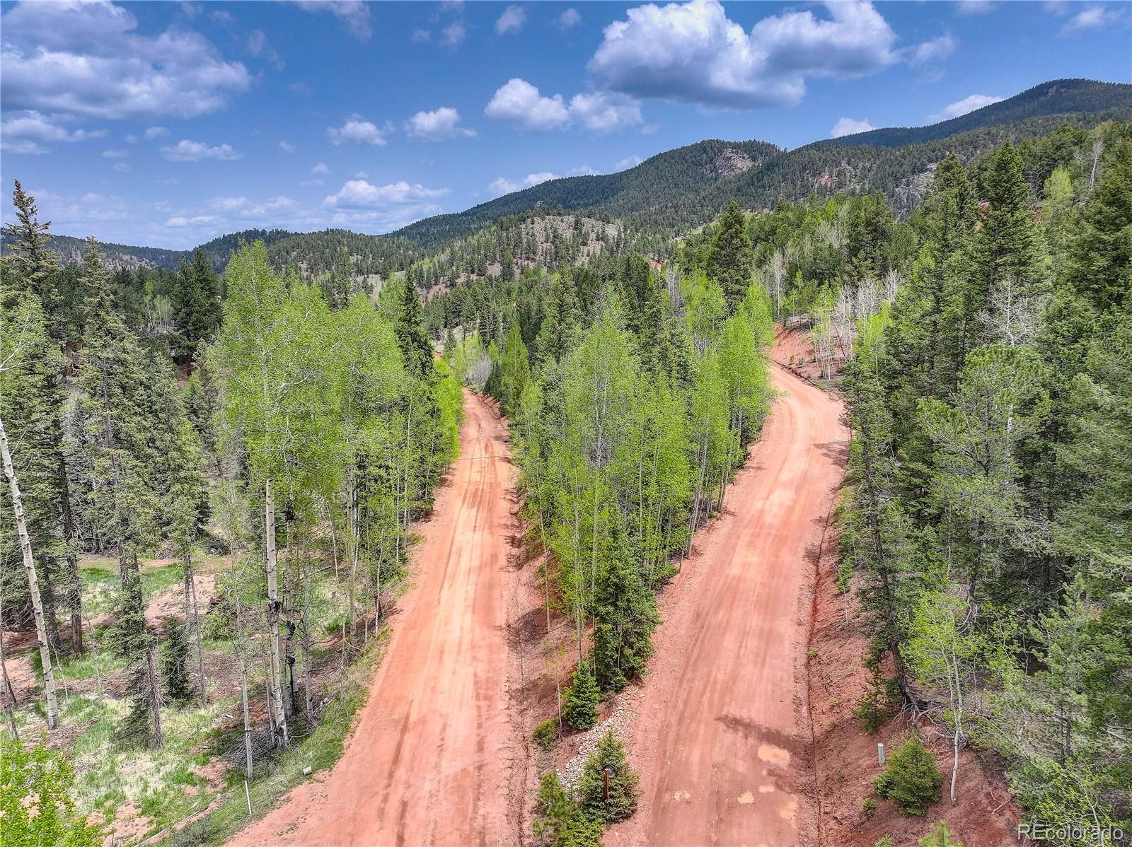416 Willow Road Divide CO 80814