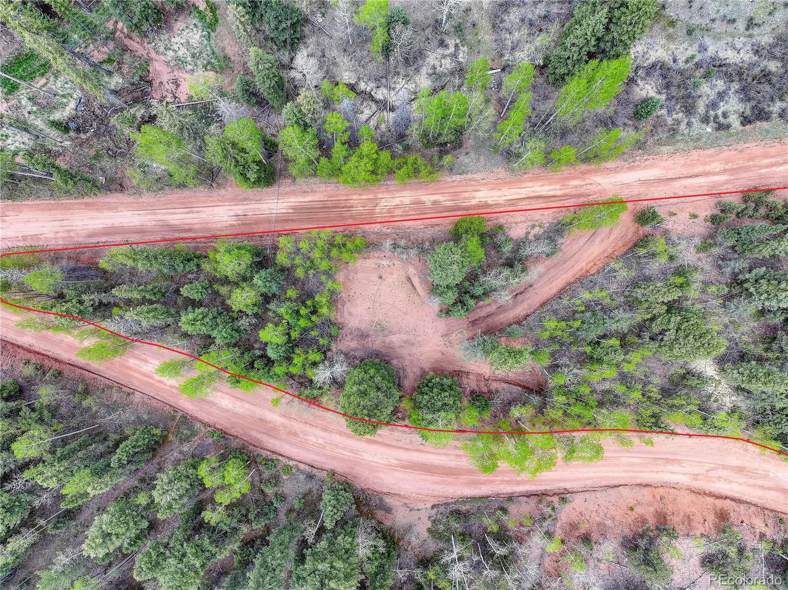 416 Willow Road Divide CO 80814