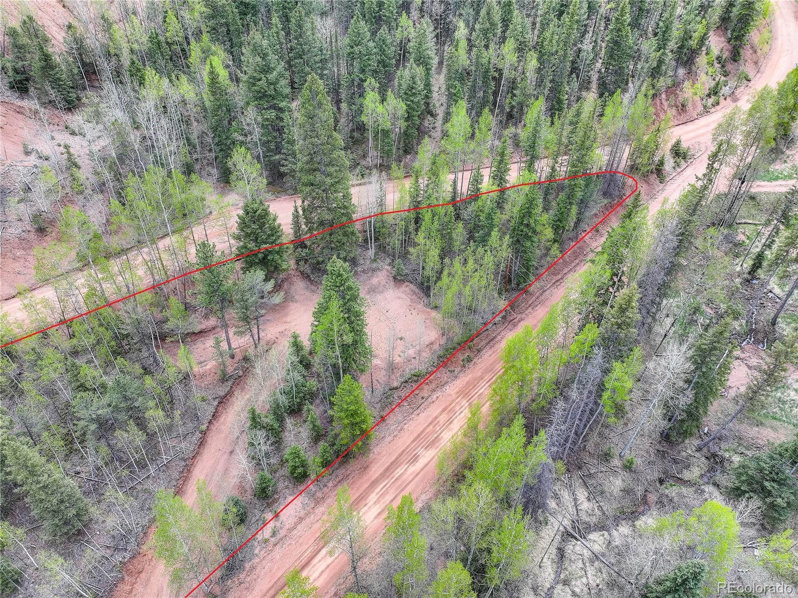 416 Willow Road Divide CO 80814