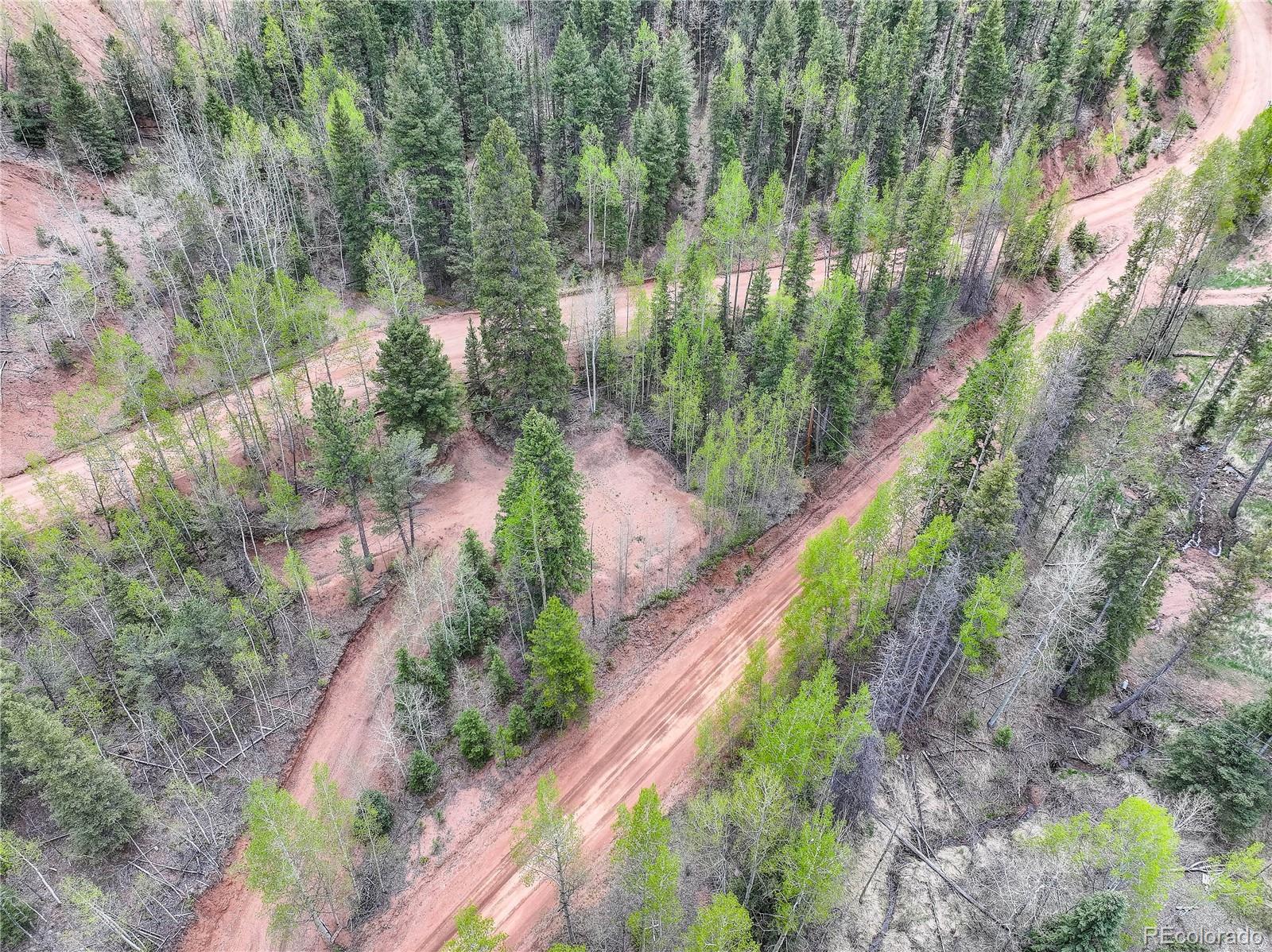 416 Willow Road Divide CO 80814