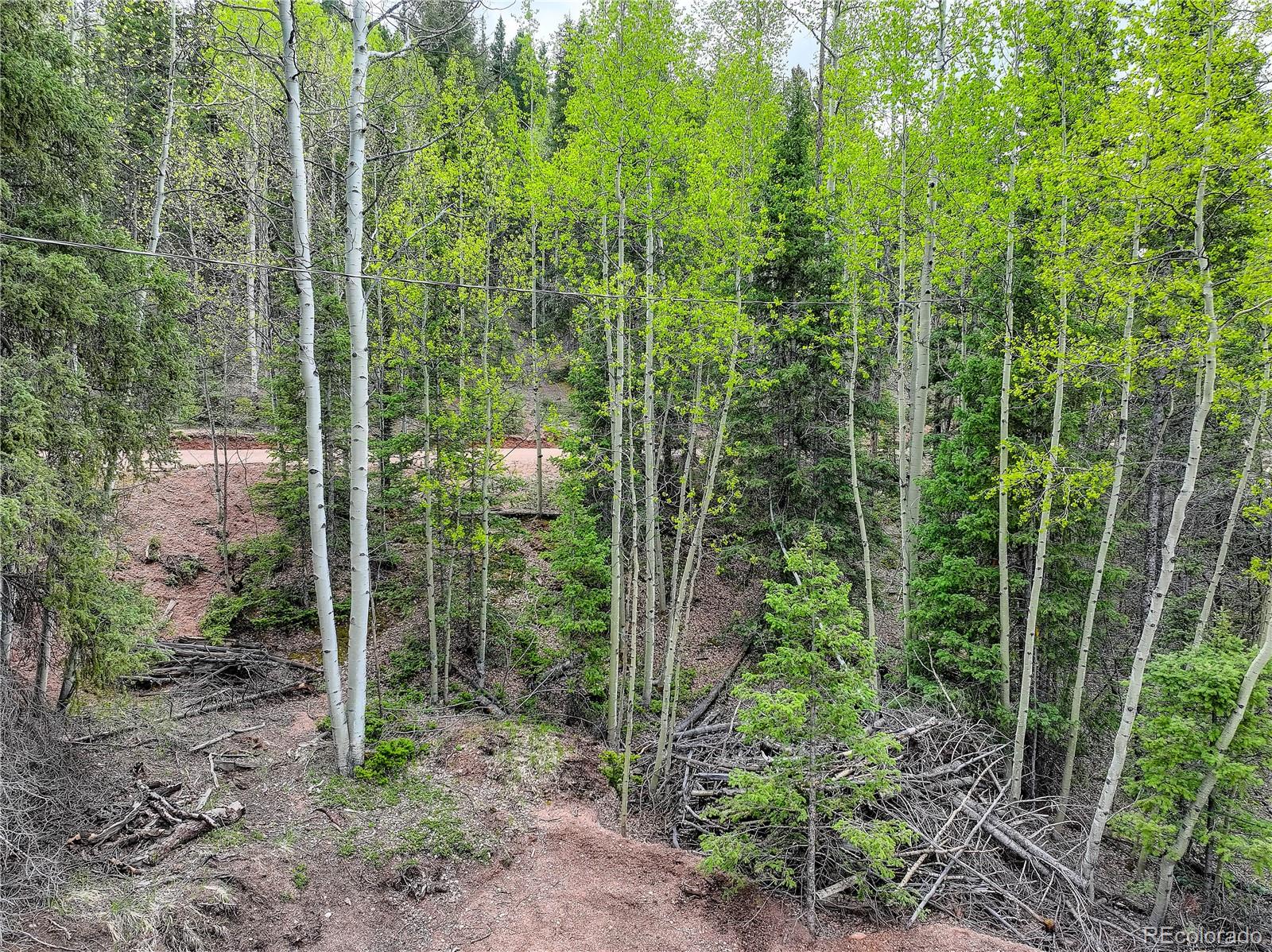416 Willow Road Divide CO 80814