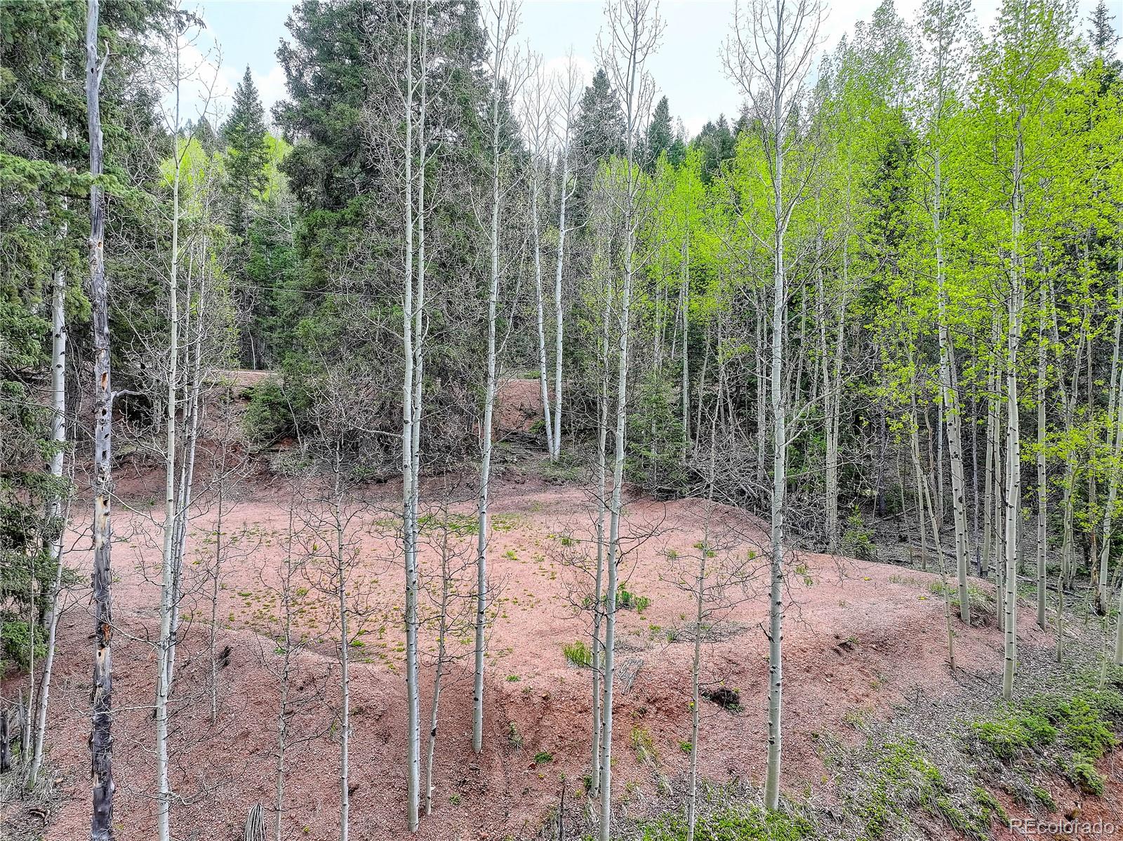 416 Willow Road Divide CO 80814