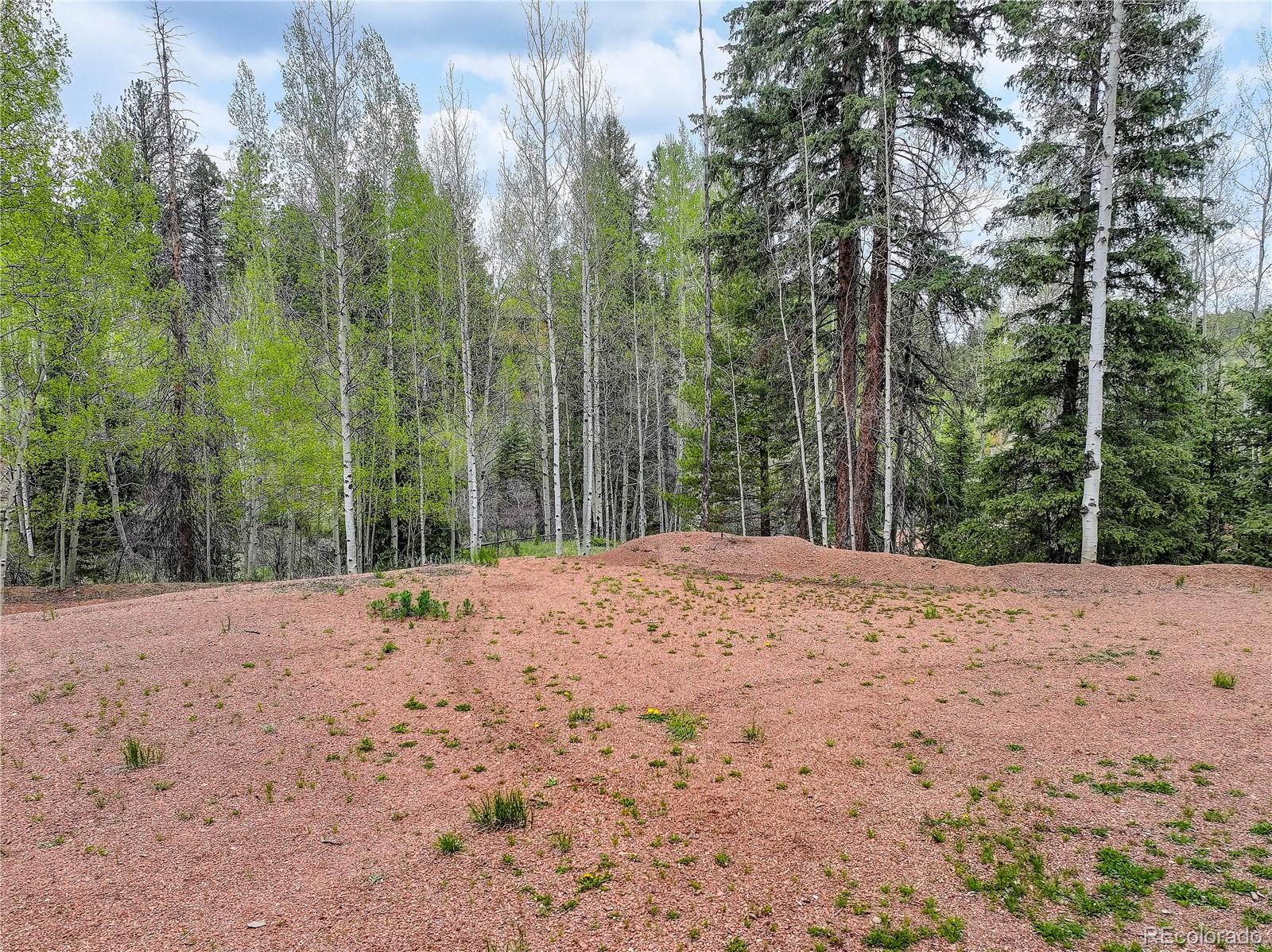 416 Willow Road Divide CO 80814