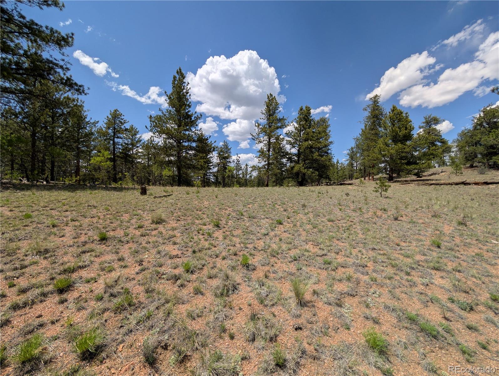 2053 Badger Creek Road Hartsel CO 80449
