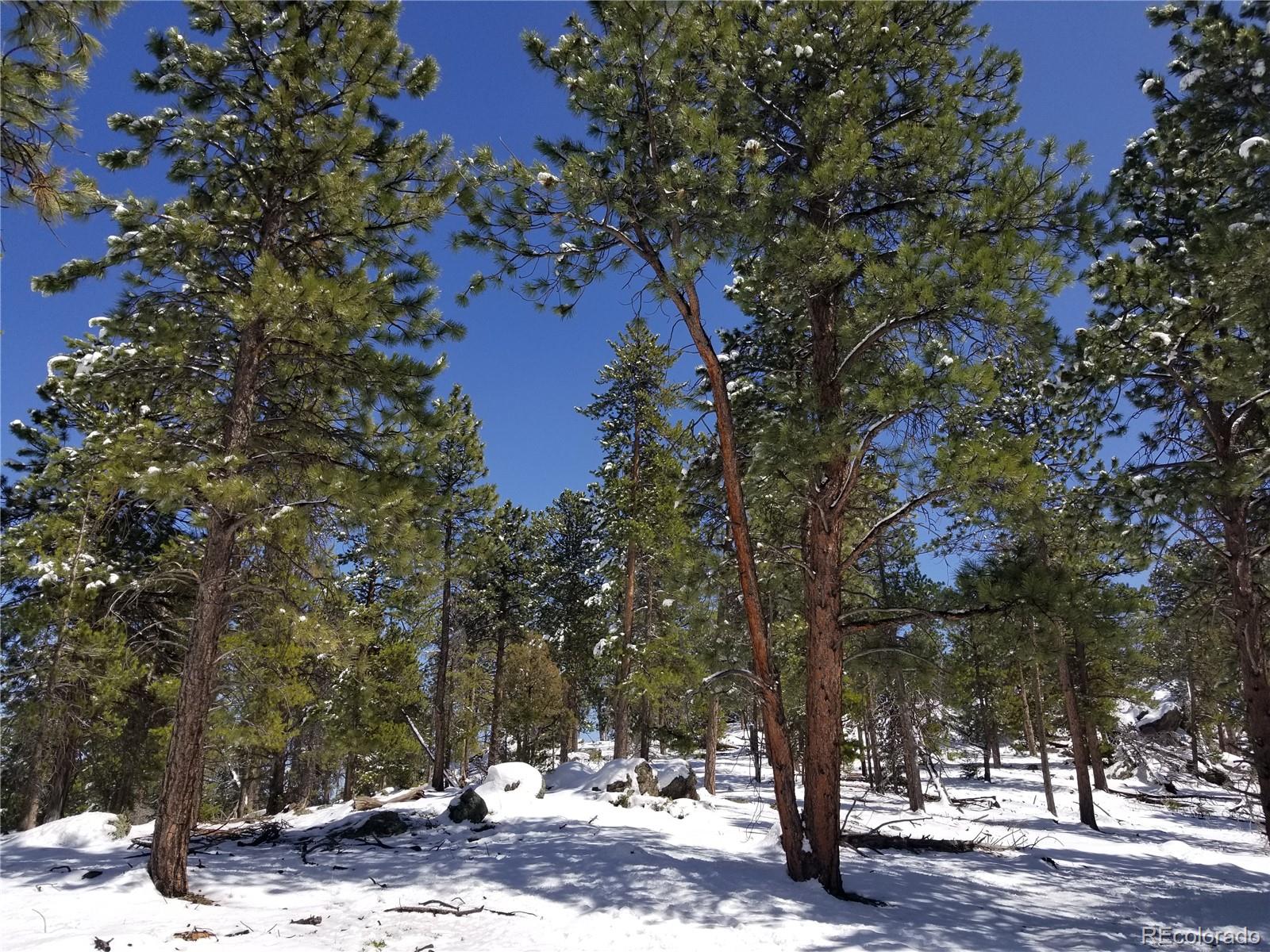 5325 S Hatch Drive Evergreen CO 80439