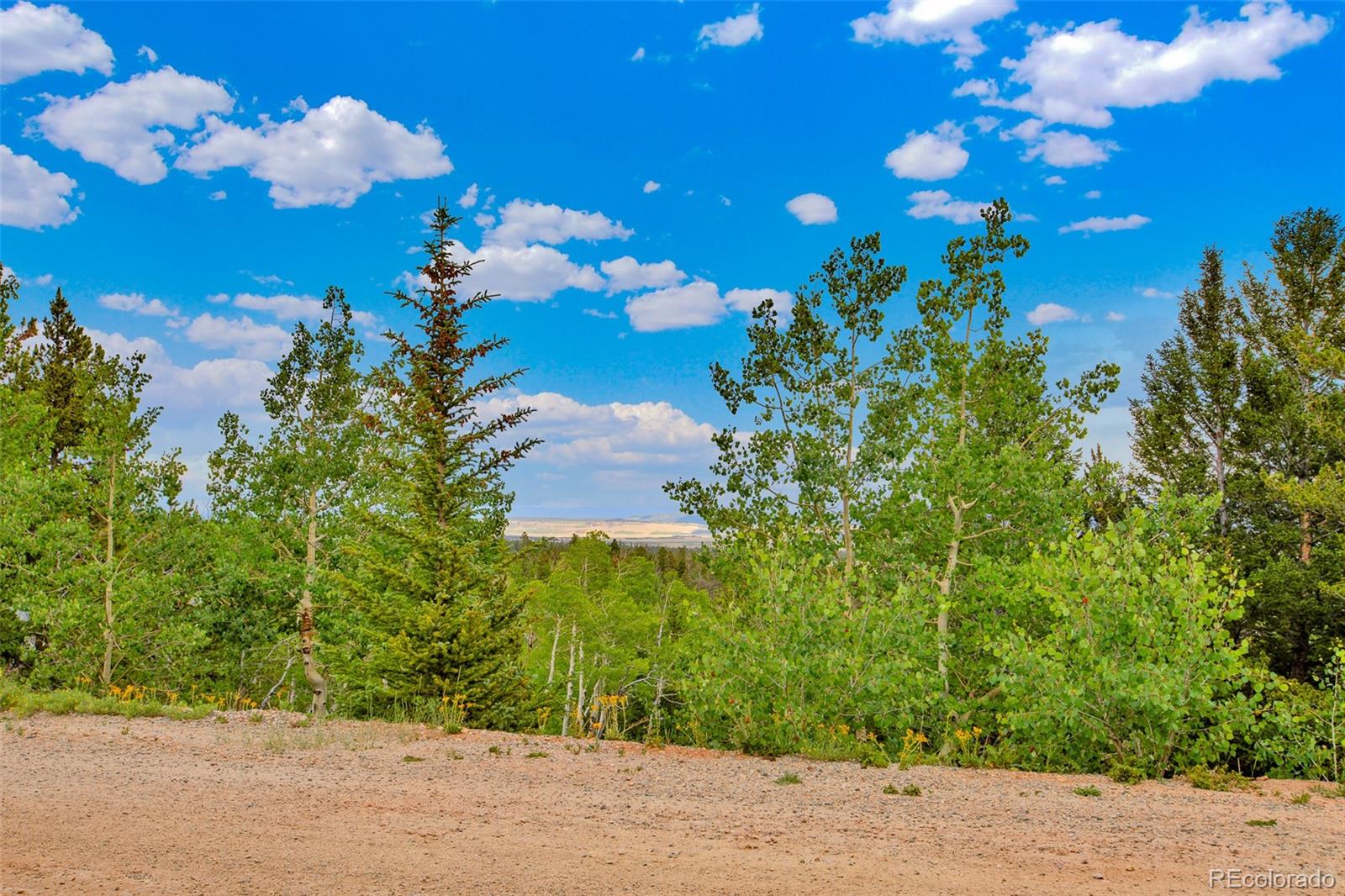751 Lamb Mountain Road Fairplay CO 80440