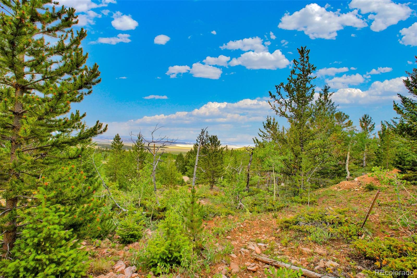 751 Lamb Mountain Road Fairplay CO 80440