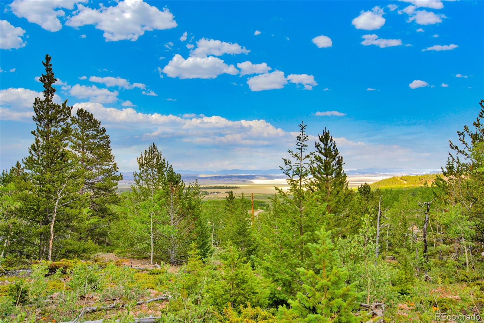 751 Lamb Mountain Road Fairplay CO 80440