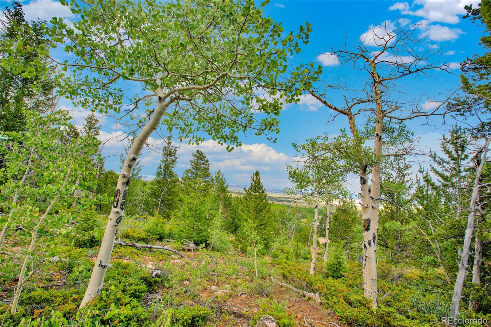 751 Lamb Mountain Road Fairplay CO 80440