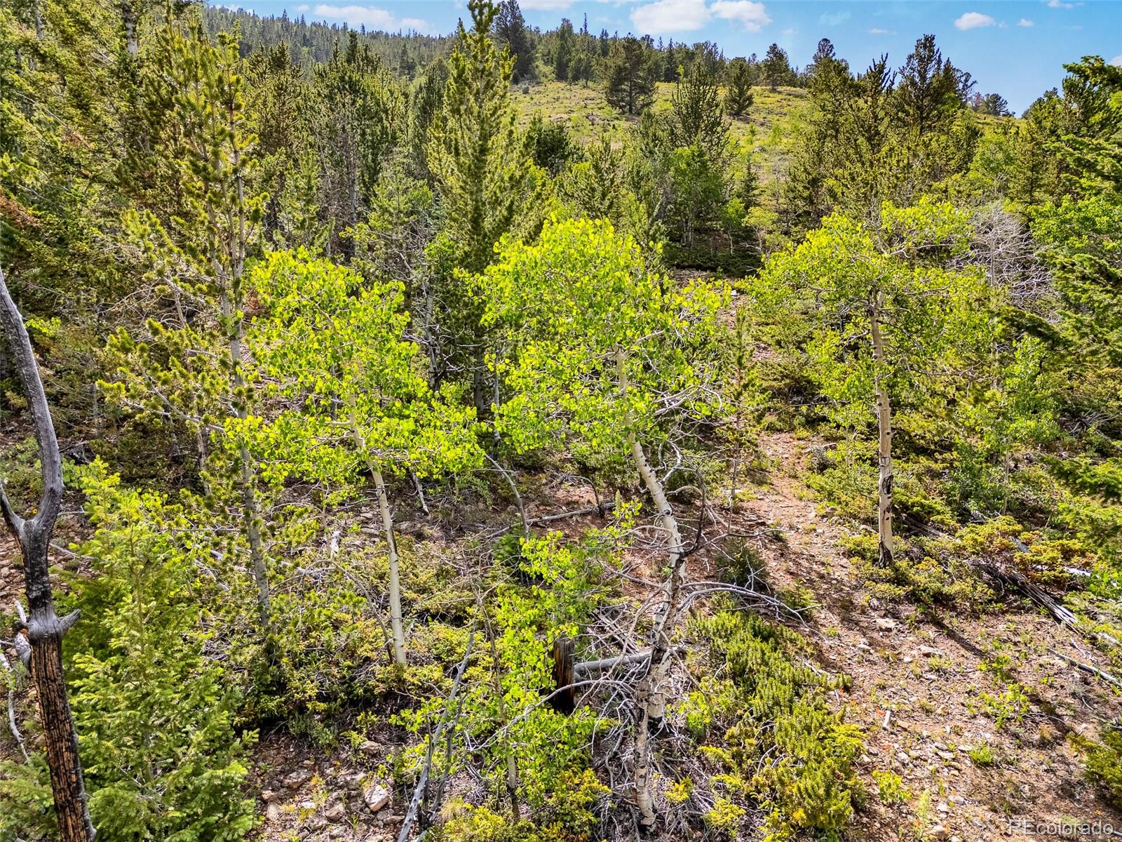 751 Lamb Mountain Road Fairplay CO 80440