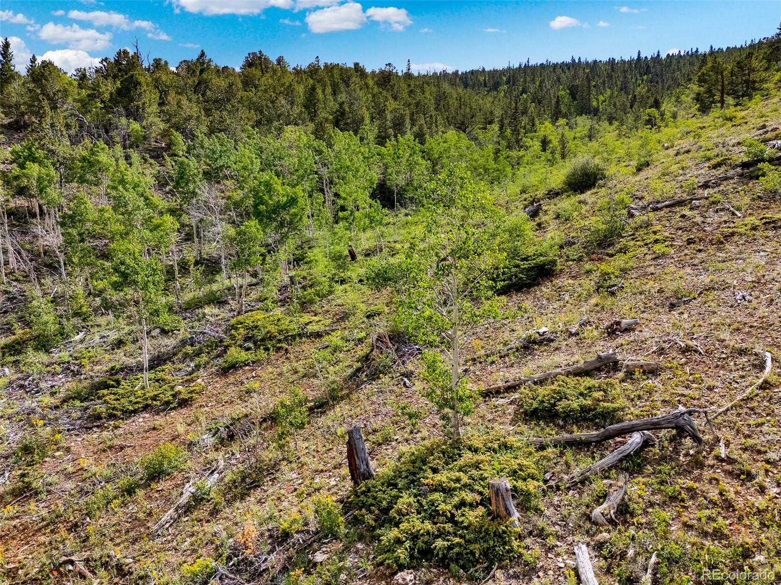 751 Lamb Mountain Road Fairplay CO 80440