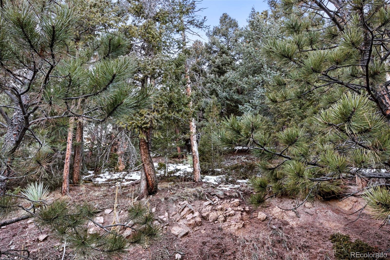 Timber Ridge Road Evergreen CO 80439