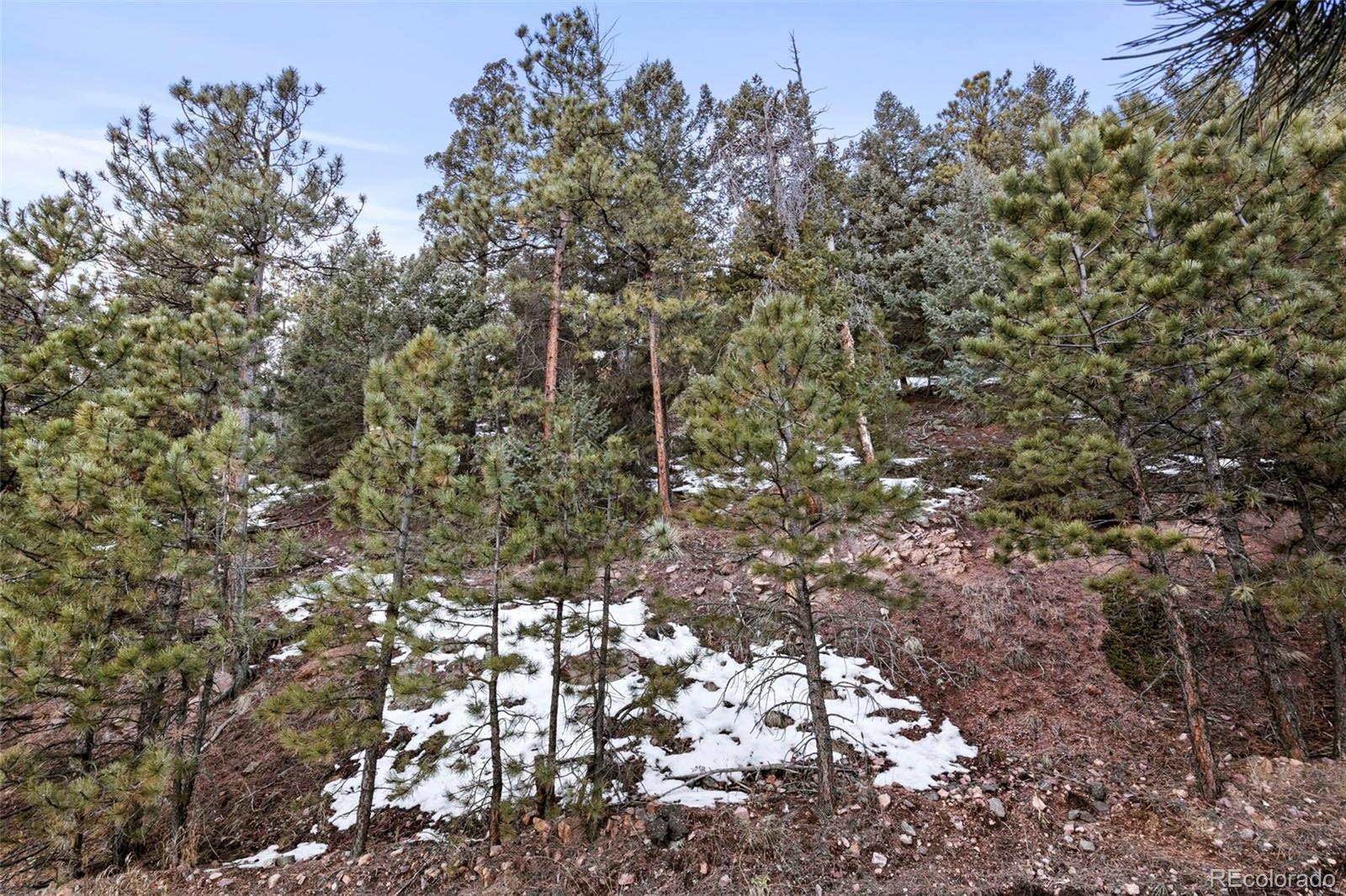 Timber Ridge Road Evergreen CO 80439