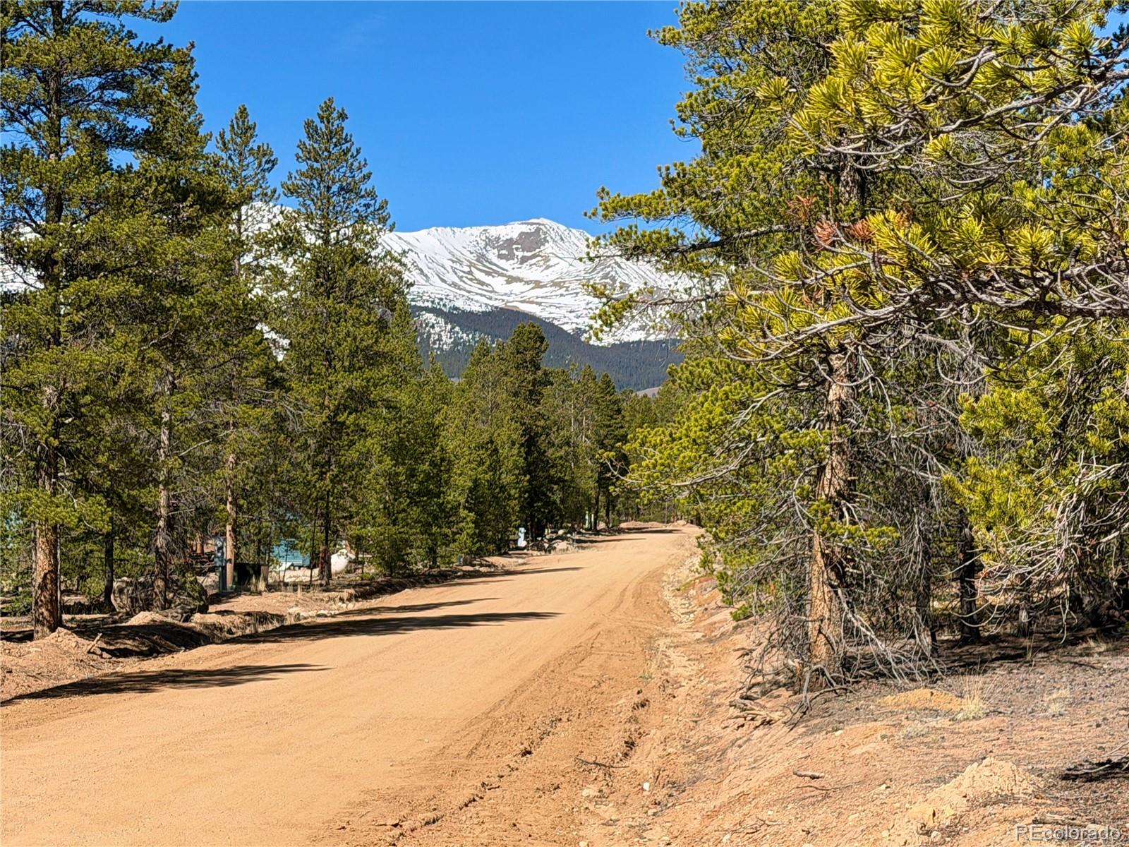 341 Aspen Drive Leadville CO 80461